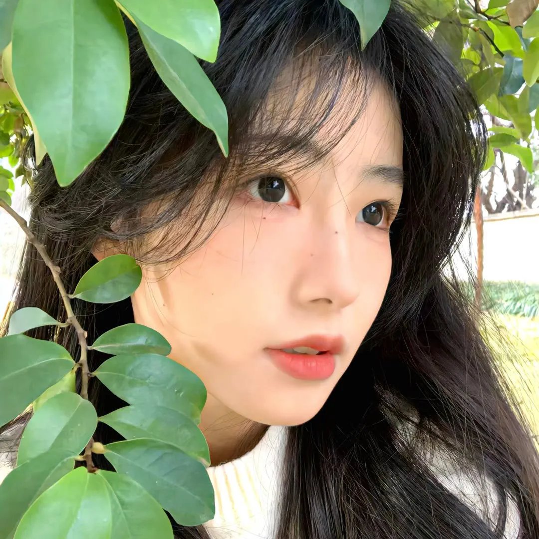 石纪元第一季